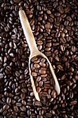 Top view of pile of scattered aromatic roasted brown coffee beans with wooden scoop