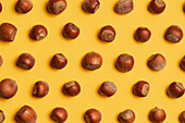 Top view of natural hazelnuts in shells arranged in lines on yellow background
