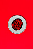 Top view of edible fake brain with fake blood placed on white round plate on red background