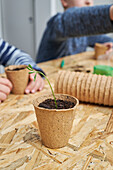 Crop anonymous children at table with green seedling growing in carton cup with soil in house