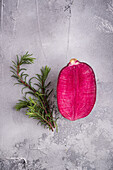 Draufsicht auf ein zartes rosa Blütenblatt in der Nähe von aromatischen Rosmarinzweigen auf einer rauen Oberfläche mit Flecken