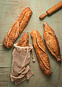 Top view composition of delicious crispy artisan sourdough bread loaves packed in burlap bags on green background