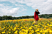 Back view anonymous trendy female in red sundress and handbag standing on blossoming field with yellow and red flowers and touching hat on warm summer day