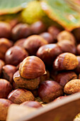 From above closeup pile of fresh chestnuts on wooden tray near dry leaves on soil in autumn forest