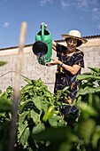 Ältere Gärtnerin mit Gießkanne gießt Wasser auf Sträucher mit grünen Paprika, während sie an einem Sommertag im Garten steht