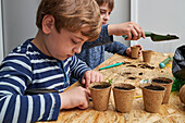 Geschwister pflanzen Setzlinge in einem Pappbecher mit Erde auf einem Tisch mit einer Gartenschaufel