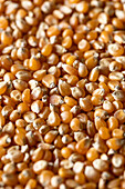 Full frame background top view of raw yellow corn seeds scattered on surface