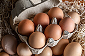 From above closeup of fresh raw chicken eggs placed in rows in carton container near hay in coop