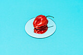 High angle of ripe red habanero pepper placed on round mirror on blue background