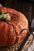 From above whole ripe pumpkin with slightly ribbed skin placed on wooden table on placemat against black background