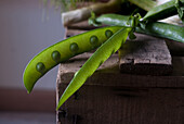 Composition of ripe and delicious green mint leaves with basil and pea pod with fennel on wood