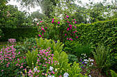 Well-tended garden with bright flowers and ferns