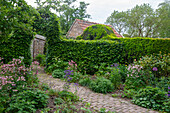 Garten mit gepflastertem Weg, umgeben von blühenden Stauden, Hecken und Büschen