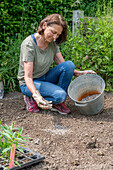 Woman with bucket of horn shavings for basic fertilisation for planting pre-grown young plants