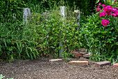 Building a bed border from old bricks and clinker stones for a bed with pre-grown seedlings for planting