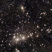 The Perseus Cluster, Euclid image