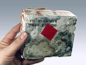 Damaged tile from Space Shuttle Columbia