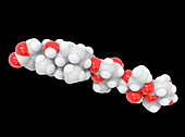 Digitoxin heart drug molecular structure, illustration