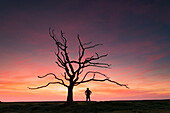 Man standing next to dead tree sunset