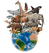 Wildlife found on Earth, illustration