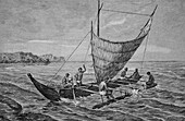 Papuan pirogue, illustration