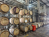 Oak barrels for aging wine