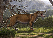 Simbakubwa prehistoric lion, illustration