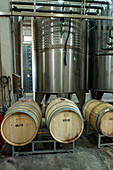 Fermentation vats and oak barrels