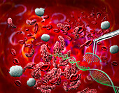 CRISPR treatment for sickle cell anaemia, conceptual illustration