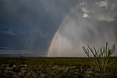 Thunderstorm with rainbow and lightning strike, Arizona, USA