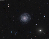 Spiral galaxy NGC 3938