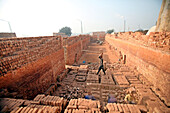 Labourers working in brickyard, Bangladesh