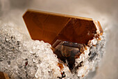 Phlogopite micromount, macrophotograph