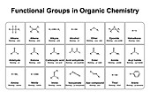 Functional groups in organic chemistry, illustration