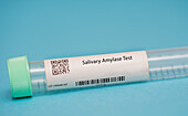 Salivary amylase test