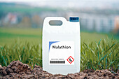 Container of malathion insecticide