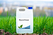 Container of mycorrhizae fungi