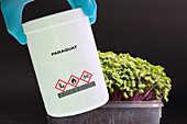 Container of paraquat herbicide