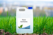 Container of plant hormones