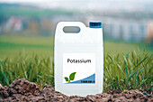 Container of potassium