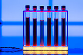 Samples of liquid in test tubes