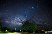 Starry night sky above park