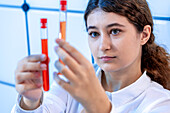 Scientist comparing test tubes