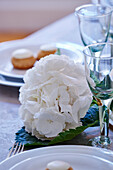 Tischdeko mit weißer Hortensienblüte