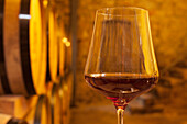 A glass of red wine in a wine cellar