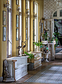 Charming hallway with plants, bird sculptures and botanical art prints