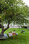 Cake buffet in the garden and fruit tree