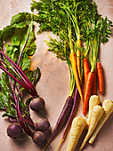 Beetroot, colourful carrots and parsnips