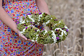 Spätsommerkranz mit verschiedenen Samenständen, Fetthenne (Sedum), Brombeeren, Artischockenblüten und Hortensien (Hydrangea)