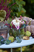 Herbstliches Arrangement mit Mini-Kürbis, Erika (Calluna), Schneebeeren (Symphoricarpos), Kastanien, Hortensienblüten und Windlicht auf Gartentisch